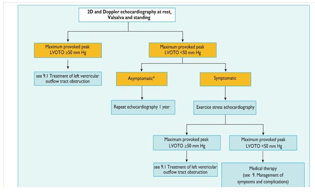 Cardiomiopatia Ipertrofica Milano